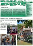Zelen a doba